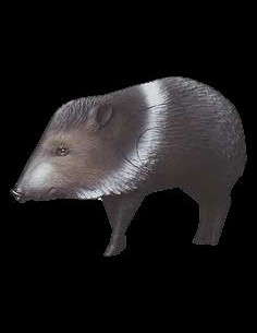 DIANA 3D DELTA JAVELINA 50597