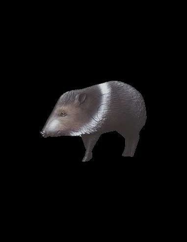 DIANA 3D DELTA JAVELINA 50597