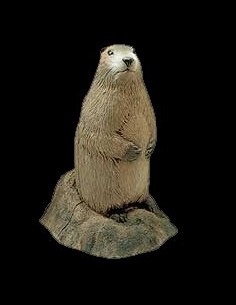 DIANA 3D DELTA MARMOTA 50515