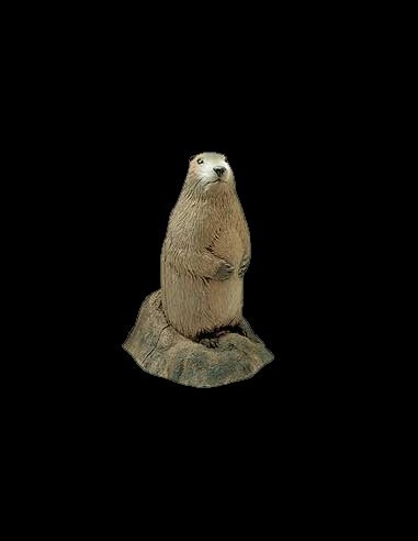 DIANA 3D DELTA MARMOTA 50515