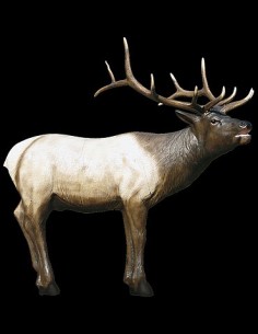 DIANA 3D McKENZIE ELK 20540