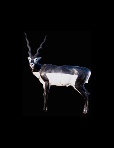 DIANA 3D McKENZIE KUDU 20800